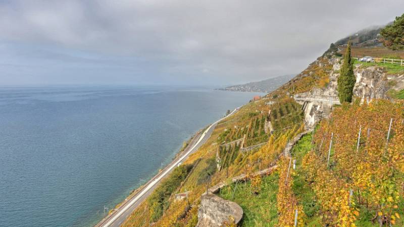 Steiler Hang und die Strasse und Bahn entlang dem See