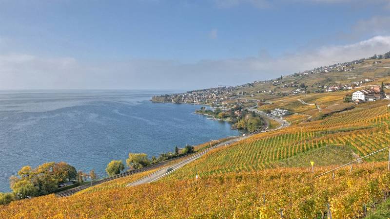 241030-Wanderung-Lavaux-StSaphorin-Lutry-09997_8_9