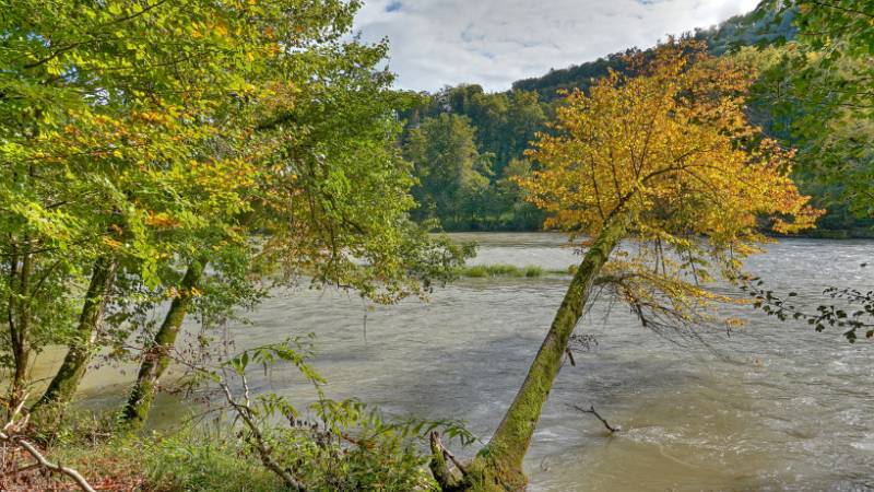 Image Reuss-Uferwanderung: Gebenstorf - Birmenstorf - Baldegg