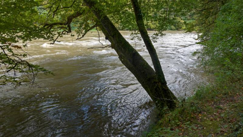 241002-reuss-wanderung-birmenstorf-gnadenthal-09190_1_2