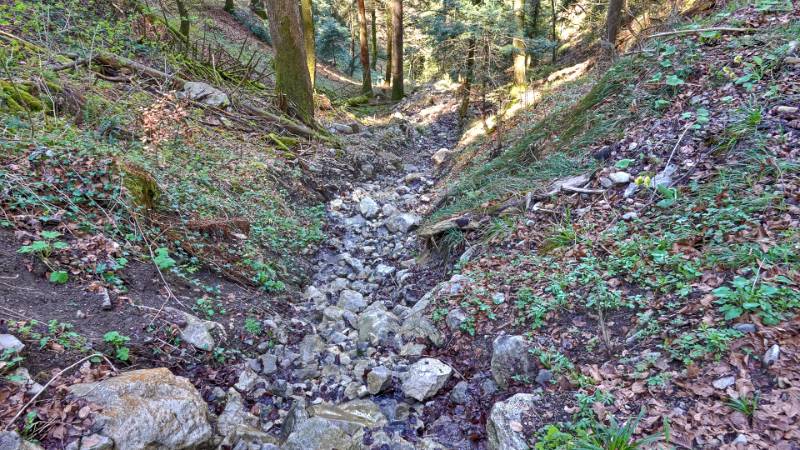 Der Bach ist fast ausgetrocknet