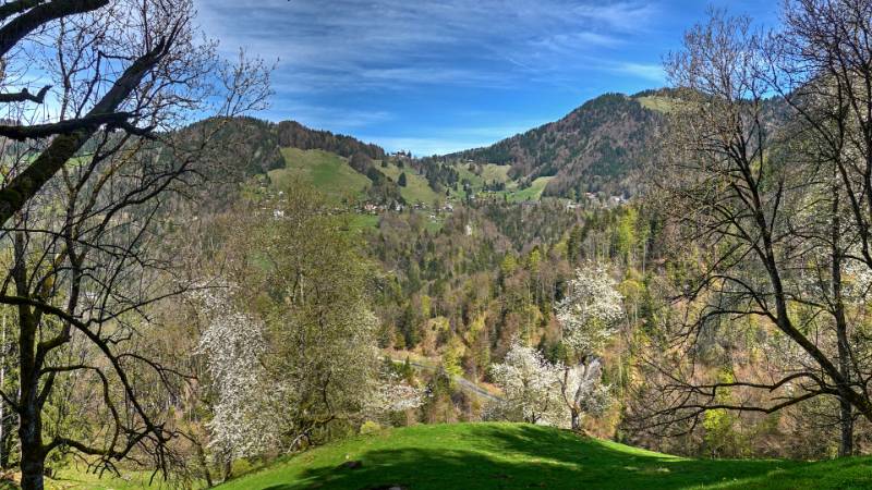 Schöne Landschaft, mit Blüten geschmückt