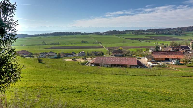 Sicht bis nach Alpen