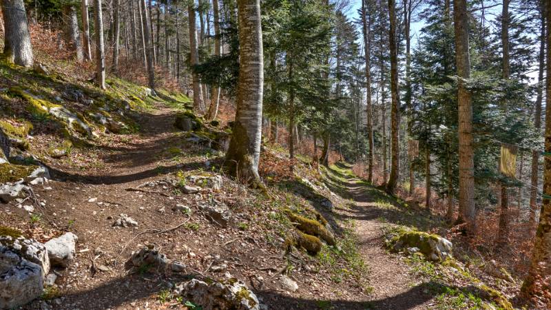 250412-wanderung-mont-sujet-02383_4_5