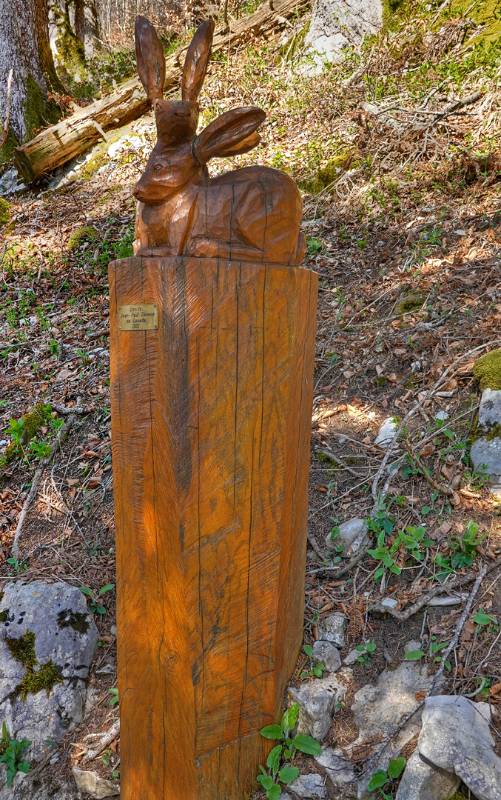 250412-wanderung-mont-sujet-02386_7_8