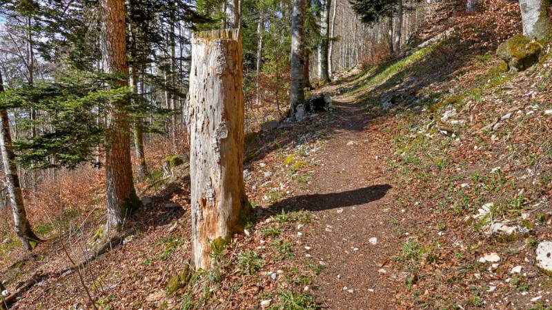 250412-wanderung-mont-sujet-02401_2_3