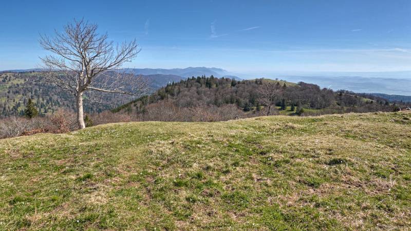250412-wanderung-mont-sujet-02425_6_7
