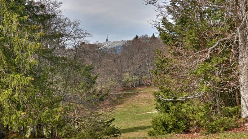 250412-wanderung-mont-sujet-02464_5_6