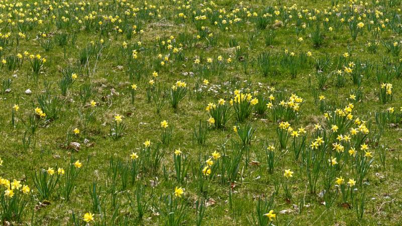 250412-wanderung-mont-sujet-02470_1_2