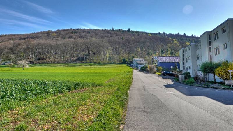Schon am Start sieht man Beringer Randenturm