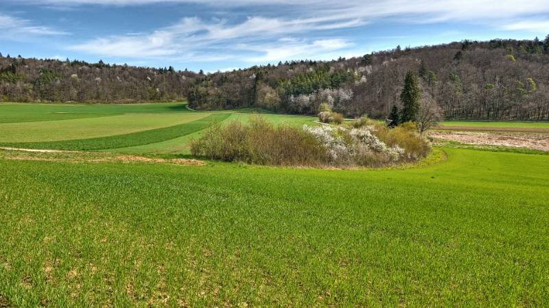 Im Eschmertal