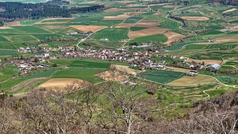 Beggingen im Zoom