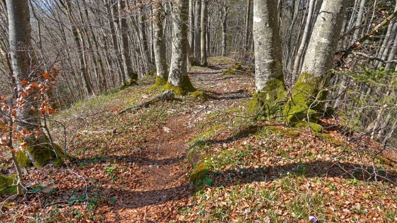 Wanderung Schleitheimer Randenturm