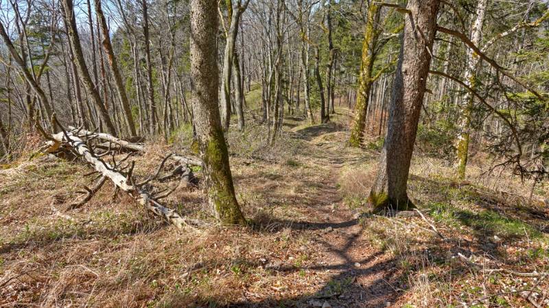 250405-wanderung-schleitheimer-randenturm-02302_3_4