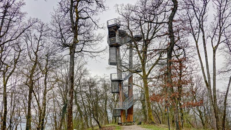 Wanderung Siblinger Randenturm
