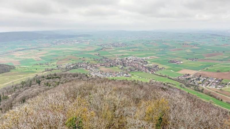Blick auf Siblingen vom Aussichtsturm