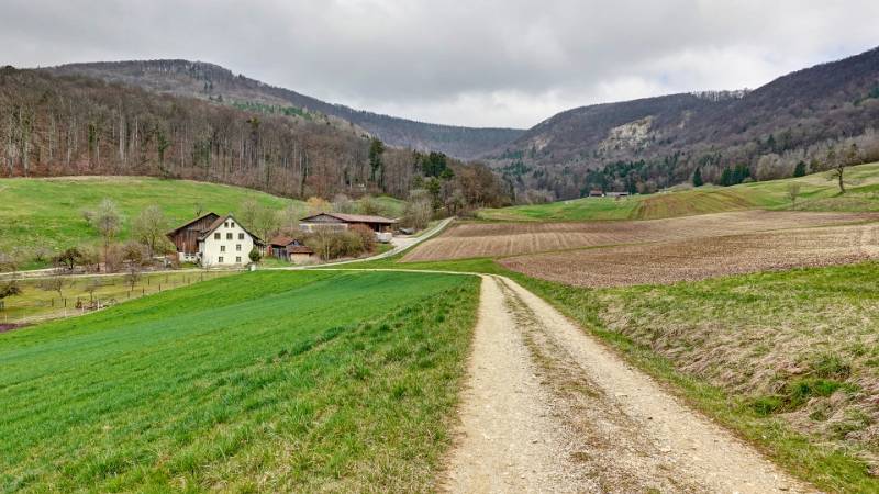 Lange Rande vorne
