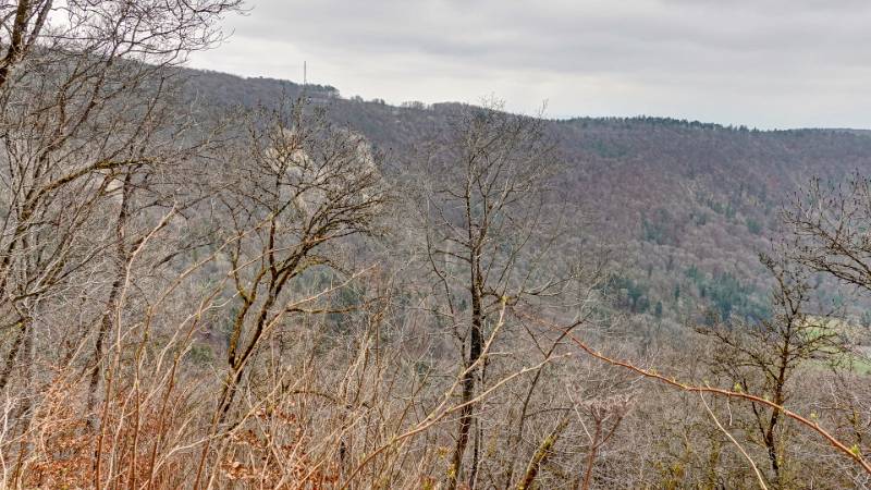 250328-wanderung-siblinger-randenturm-02188_89_90