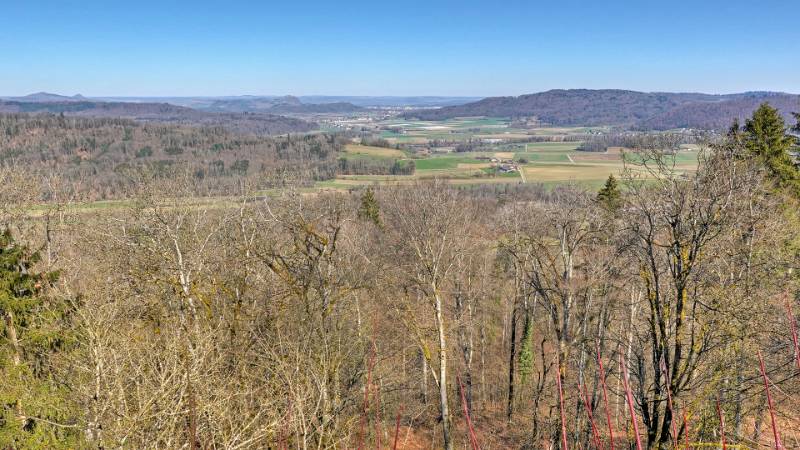 250318-wanderung-rundum-stammerberg-02146_7_8