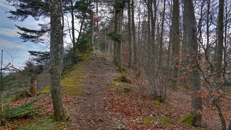 250311-brunneberg-runde-ab-challpass-02062_3_4 (2)