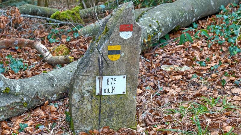 250311-brunneberg-runde-ab-challpass-02077_8_9 (2)