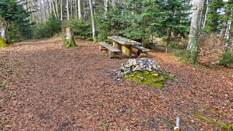 250311-brunneberg-runde-ab-challpass-02080_1_2 (2)