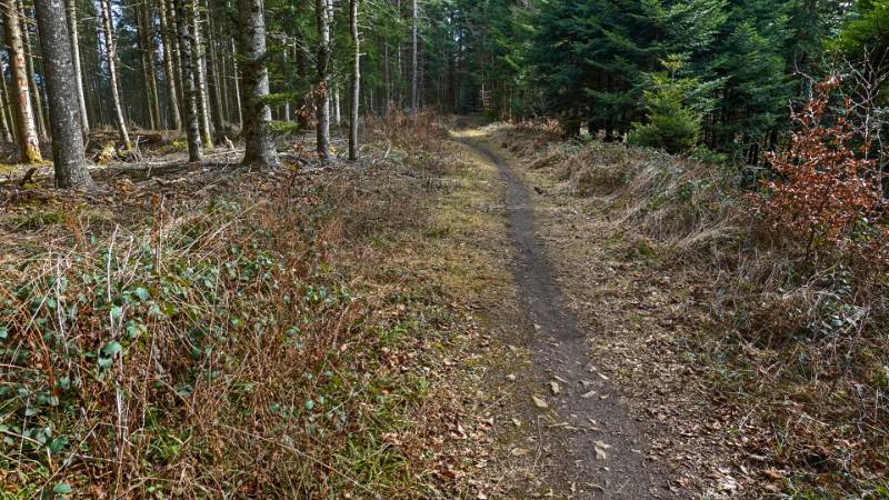 250311-brunneberg-runde-ab-challpass-02083_4_5