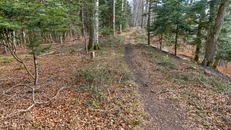 250311-brunneberg-runde-ab-challpass-02086_7_8 (2)