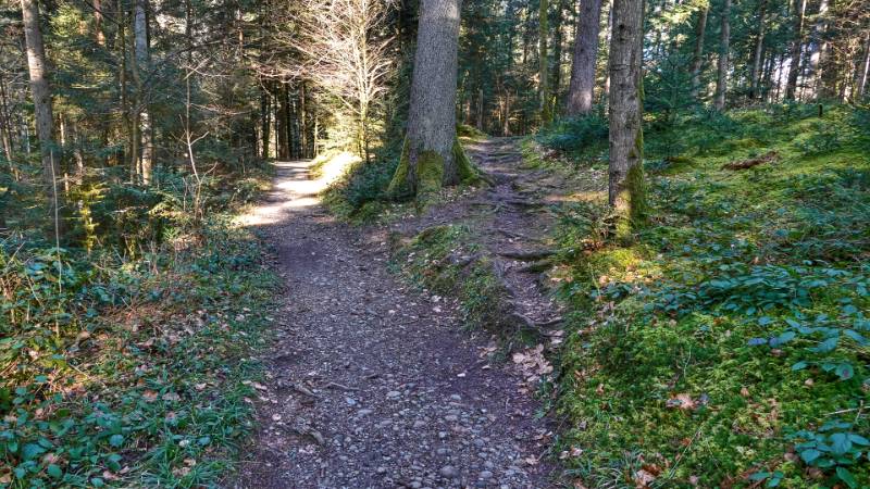 250308-eine-runde-zum-aspisee-ab-langenthall-02029_30_31