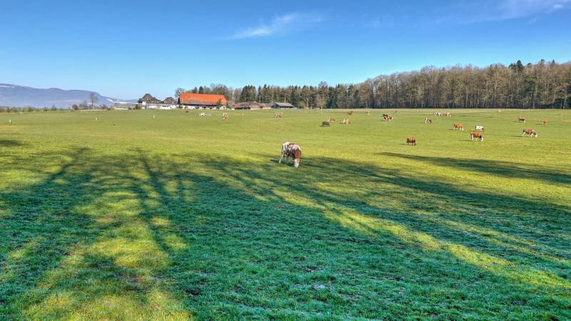 250308-eine-runde-zum-aspisee-ab-langenthall-02032_3_4