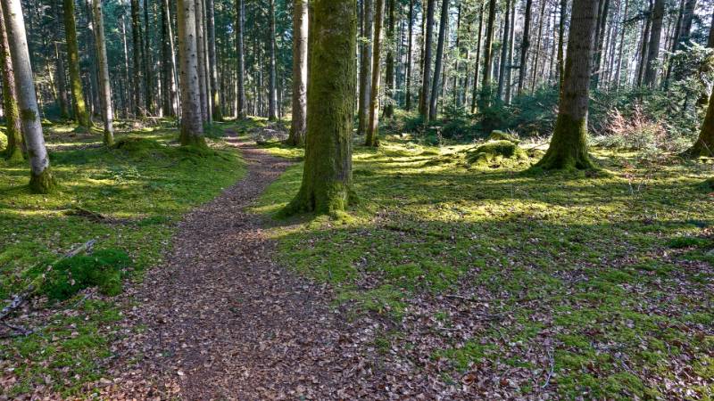 250308-eine-runde-zum-aspisee-ab-langenthall-02041_2_3