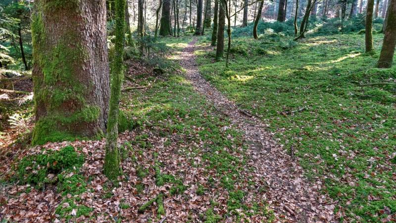 250308-eine-runde-zum-aspisee-ab-langenthall-02044_5_6