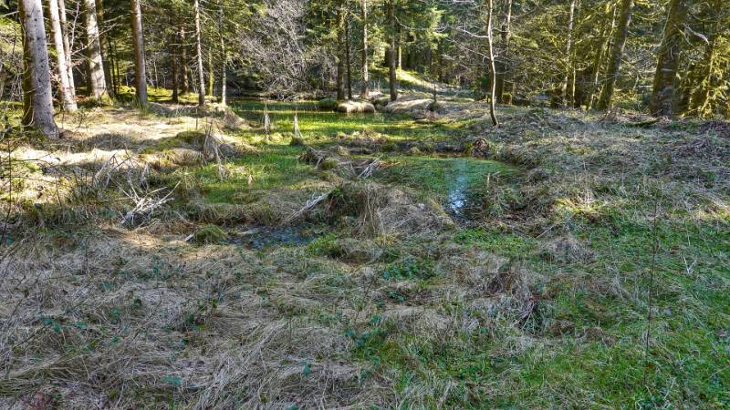 250308-eine-runde-zum-aspisee-ab-langenthall-02047_8_9