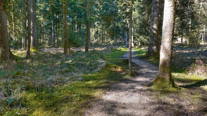 250308-eine-runde-zum-aspisee-ab-langenthall-02059_60_61