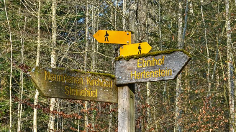 250219-Ebnihof-Tromsberg-im-Obersiggenthal-02008_09_10