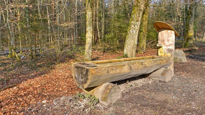 250219-Ebnihof-Tromsberg-im-Obersiggenthal-02011_2_3