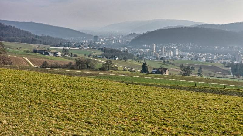 Ebnihof-Tromsberg: ein Spaziergang im Wald an einem kühlen Februar Tag