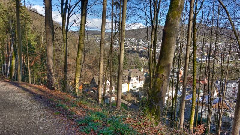 250129-chruezliberg-spittelau-01877_8_9