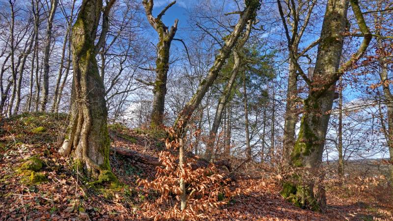 250129-chruezliberg-spittelau-01886_7_8