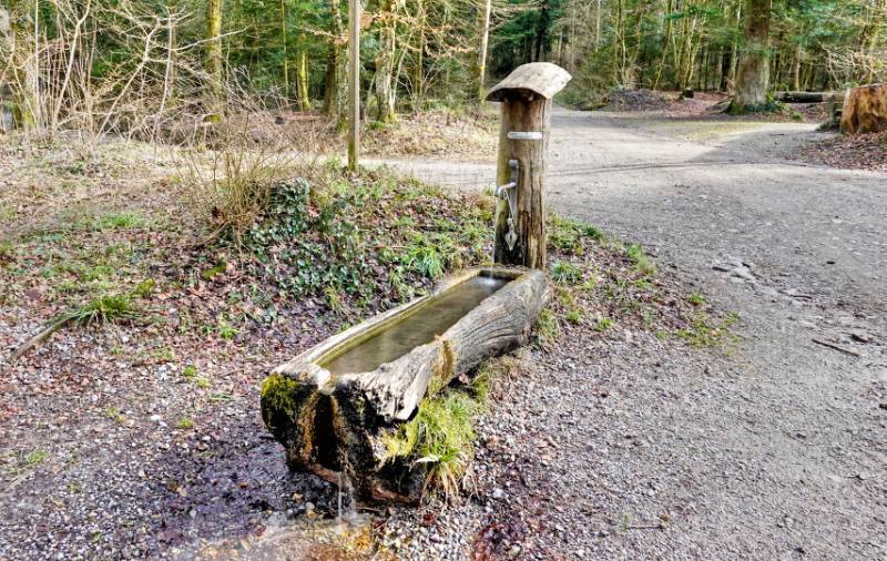Der Brunnen beim Spittelau