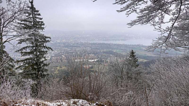 Blick auf Zürisee