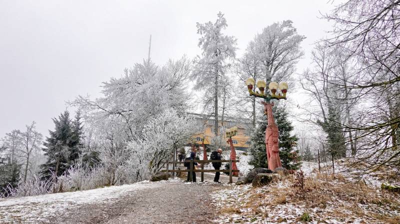 Grau und kalt auf dem Uetliberg