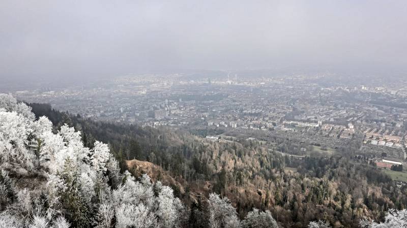 Zürich vom Aussichtsturm im Nebel