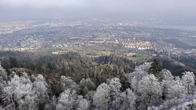 250118-wanderung-uetliberg-ab-waldegg-01500_1_2 (4)