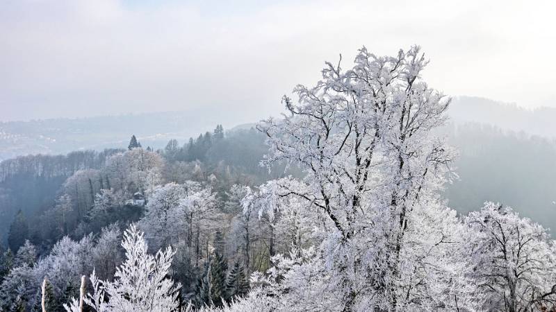Image Wanderung, genauer ein Spaziergang, auf den Uetliberg ab Waldegg