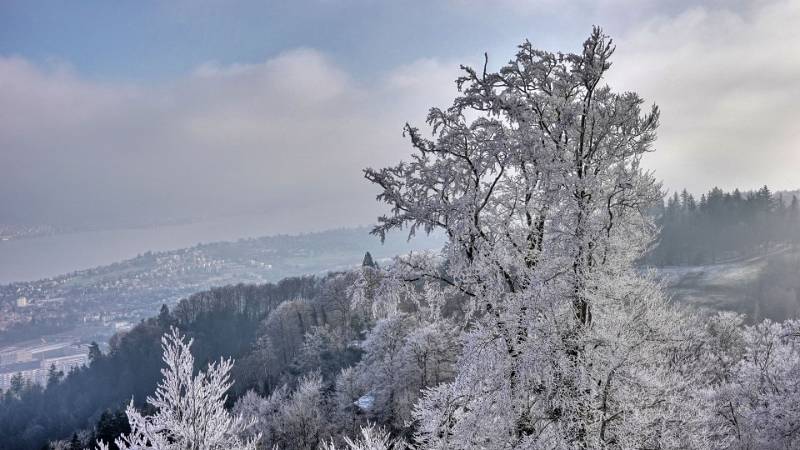 250118-wanderung-uetliberg-ab-waldegg-01509_10_11 (3)