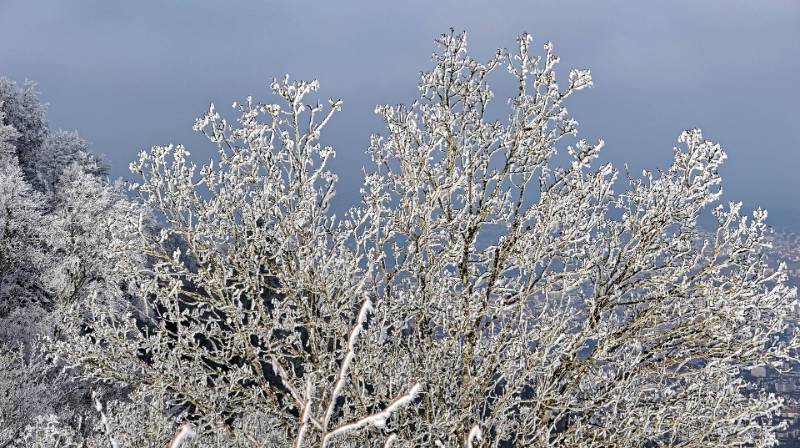 250118-wanderung-uetliberg-ab-waldegg-01512_3_4 (4)