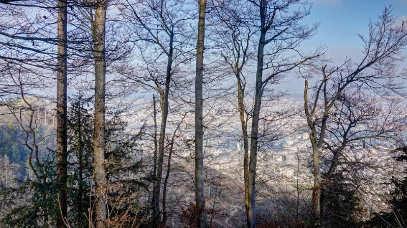 250118-wanderung-uetliberg-ab-waldegg-01539_40_41 (2)