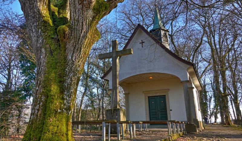 Image Eine Wanderrunde aus Wettingen: Greppe - Otelfingen - Lägern
