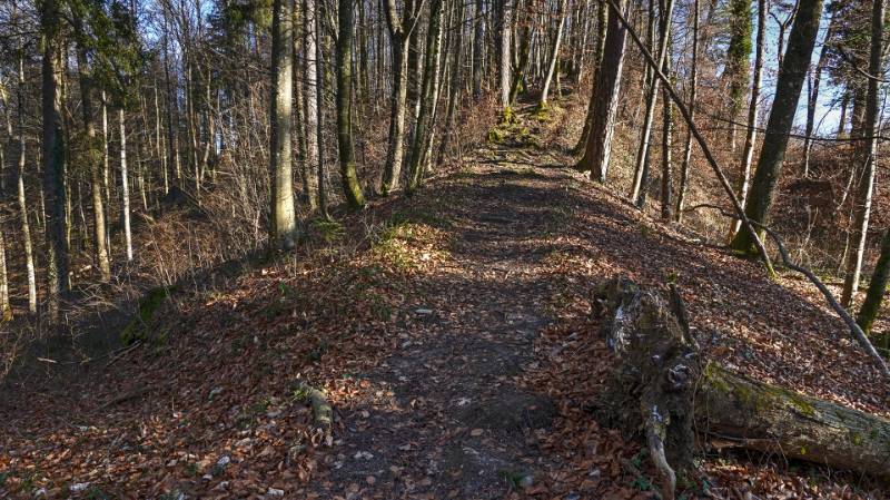 Der Weg auf den Hügel Greppe